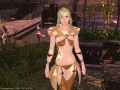 ffxiv_09032015_173651.png