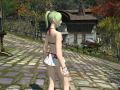 ffxiv_11032015_174618.png