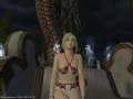 ffxiv_11052015_230249.png