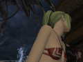 ffxiv_11052015_230352.png