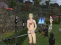 ffxiv_11062015_213512.png