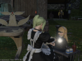 ffxiv_12032015_005524.png