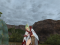 ffxiv_12032015_201119.png