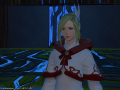 ffxiv_12052015_220850.png