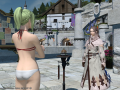 ffxiv_13032015_195437.png