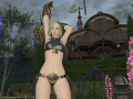 ffxiv_16052015_232039.png