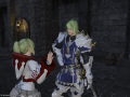 ffxiv_18052015_175453.png