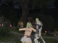 ffxiv_19052015_200208.png