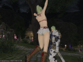 ffxiv_19052015_200212.png