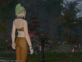 ffxiv_19052015_234307.png