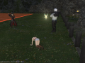 ffxiv_21052015_162311.png