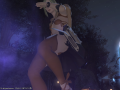 ffxiv_22022015_000917.png