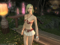 ffxiv_22022015_223352.png