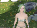 ffxiv_22052015_220100.png