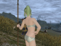 ffxiv_23052015_164820.png