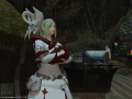 ffxiv_24022015_152439.png