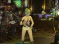 ffxiv_24022015_195649.png