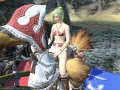 ffxiv_24022015_230413.png