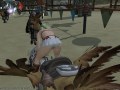 ffxiv_24022015_230452.png