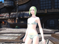 ffxiv_24052015_192118.png