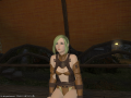 ffxiv_24052015_234623.png