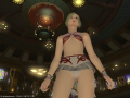 ffxiv_25022015_144312.png