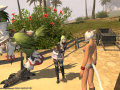 ffxiv_25052015_231250.png