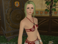 ffxiv_26022015_100319.png