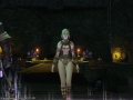 ffxiv_27052015_000641.png