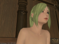 ffxiv_27052015_183035.png