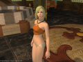 ffxiv_28012015_103102.png