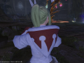 ffxiv_29012015_200939.png