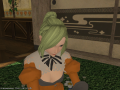 ffxiv_29032015_154500.png