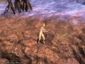 ffxiv_31012015_013746.png