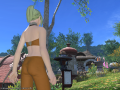 ffxiv_31012015_131938.png