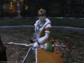 ffxiv_31012015_173051.png