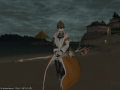 ffxiv_31012015_214316.png