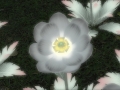 ffxiv_03122021_131944_897