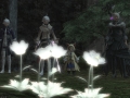 ffxiv_03122021_132136_841