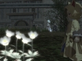 ffxiv_03122021_132325_816