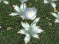 ffxiv_03122021_134442_481