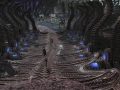 ffxiv_03122021_145440_751