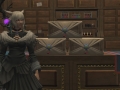 ffxiv_03122021_170435_971