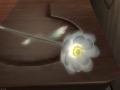 ffxiv_03122021_171256_422