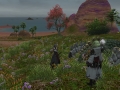 ffxiv_07062022_122240_229