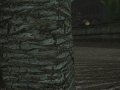 ffxiv_07062022_123427_403