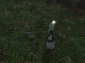 ffxiv_07062022_123633_342