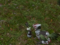 ffxiv_07062022_131548_841