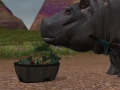 ffxiv_07062022_132212_844
