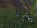 ffxiv_07062022_134003_972